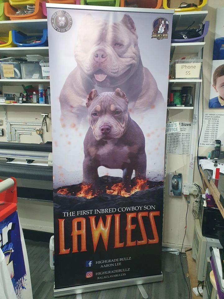 Print job example 129
