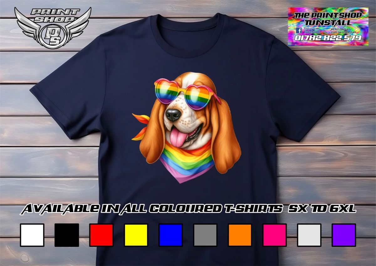 Basset Hound 01
