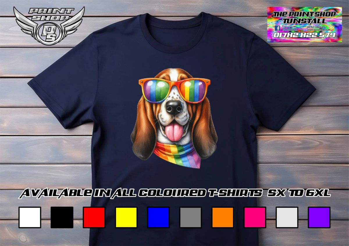 Basset Hound 02