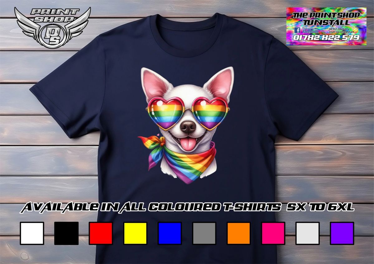 Chihuahua 01