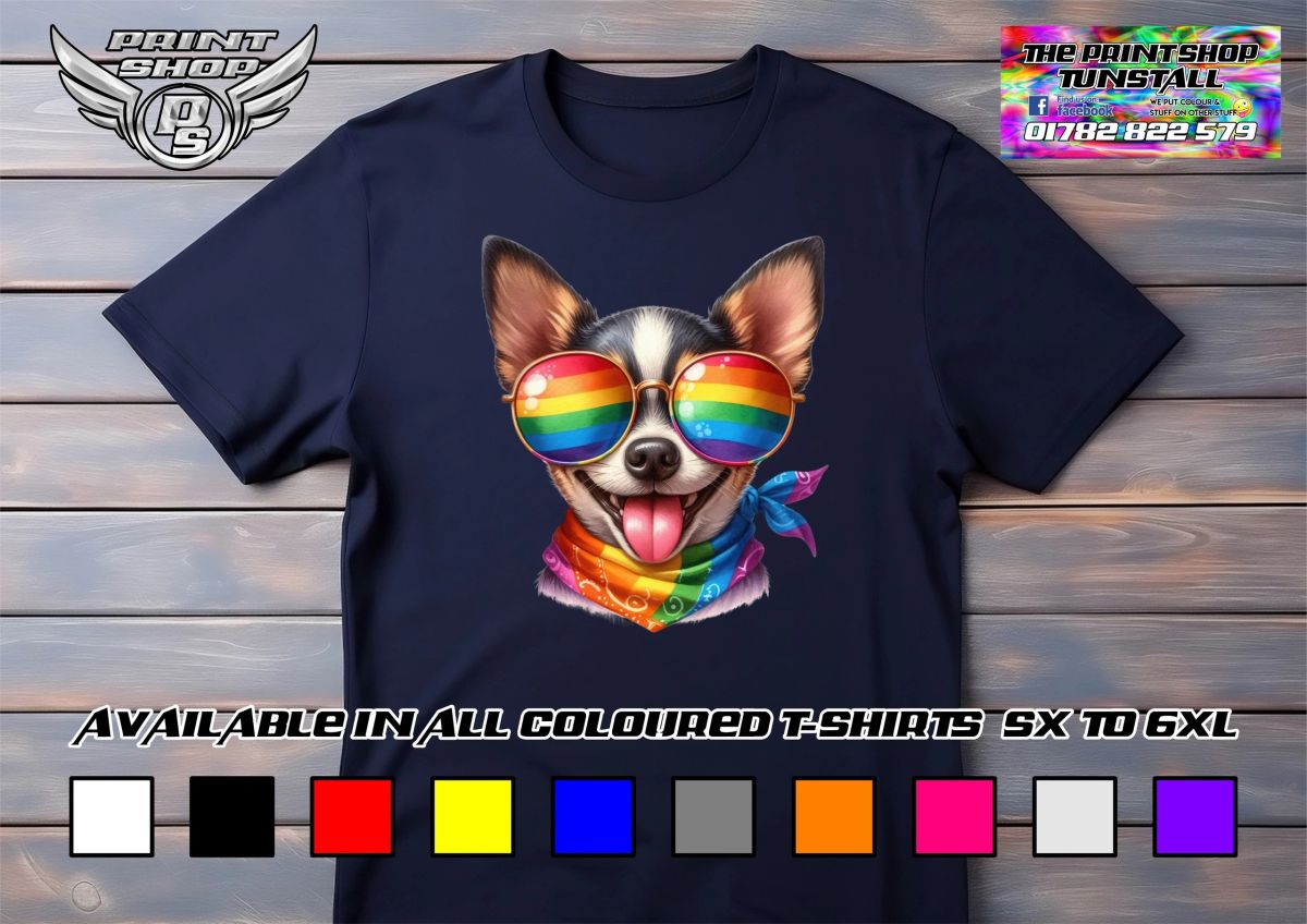 Chihuahua 02